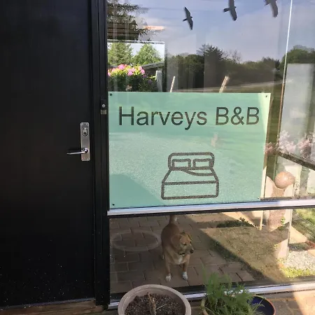 Harvey's * Hjørring