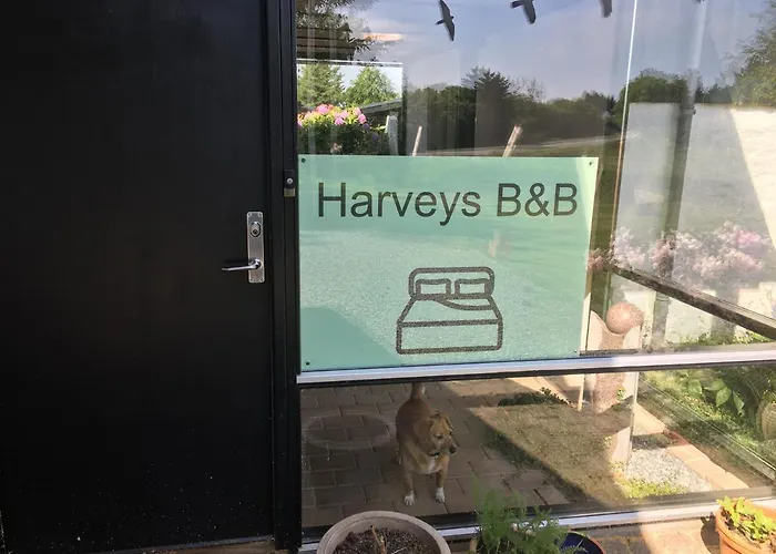 Harvey's * Hjørring